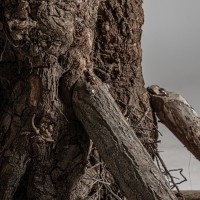 Искусственное растение OLIVO