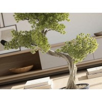 Bankan II bonsai 49cm набор из двух предметов