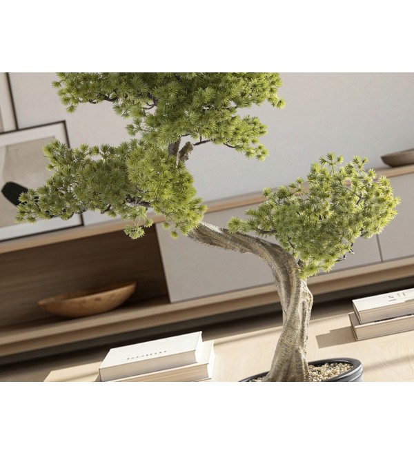 Bankan II bonsai 49cm набор из двух предметов