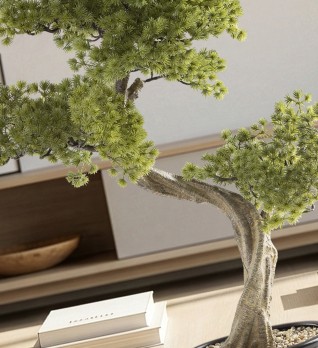 Bankan II bonsai 49cm набор из двух предметов
