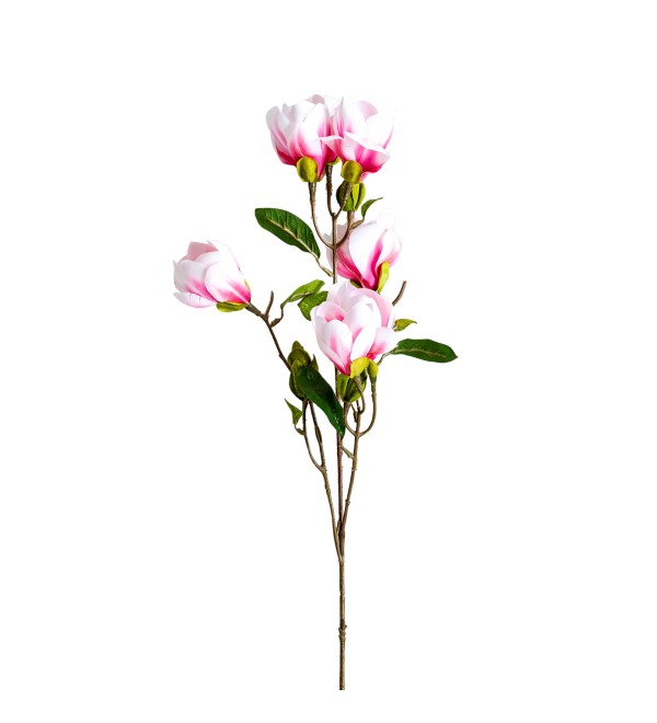 Цветок MAGNOLIA
