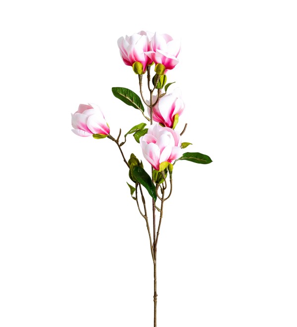 Цветок MAGNOLIA