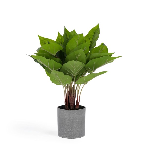 Flower Искусственный антуриум 45 см