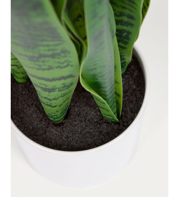 Искусственное растение Sansevieria с белым горшком 55 см