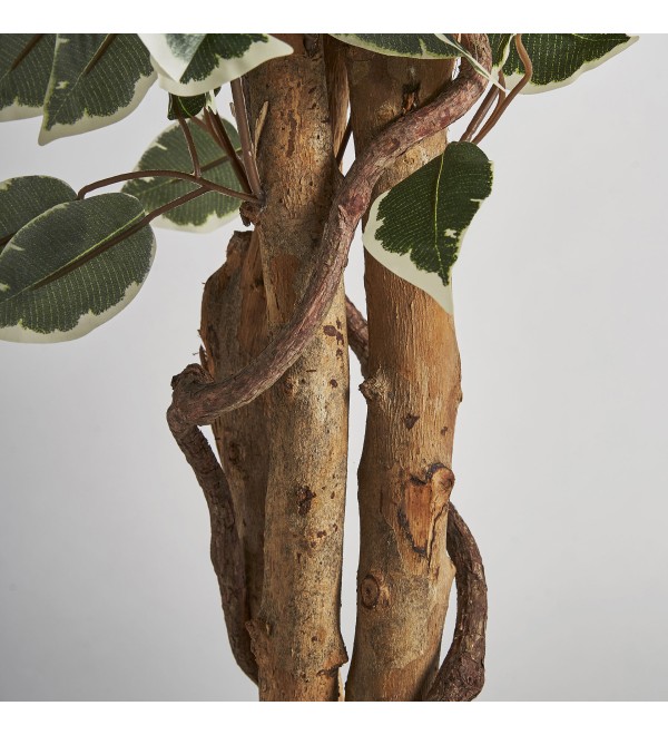 Искусственное растение FICUS