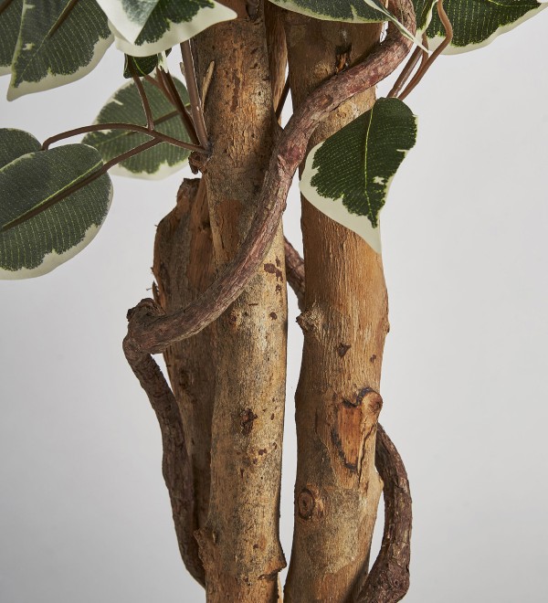 Искусственное растение FICUS