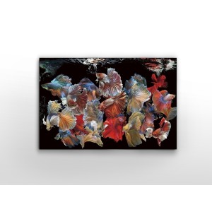 Фотография на стекле Peces Siam 150x100