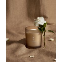 Ароматическая свеча Citrus Wave 170 г