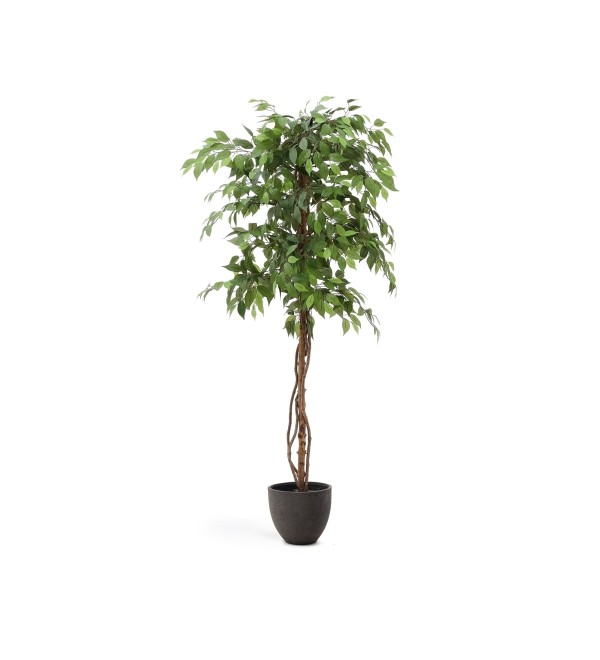 Ficus Искусственное дерево фикус в черном горшке 180 см