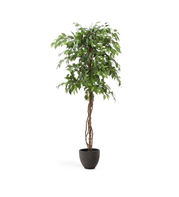 Ficus Искусственное дерево фикус в черном горшке 180 см