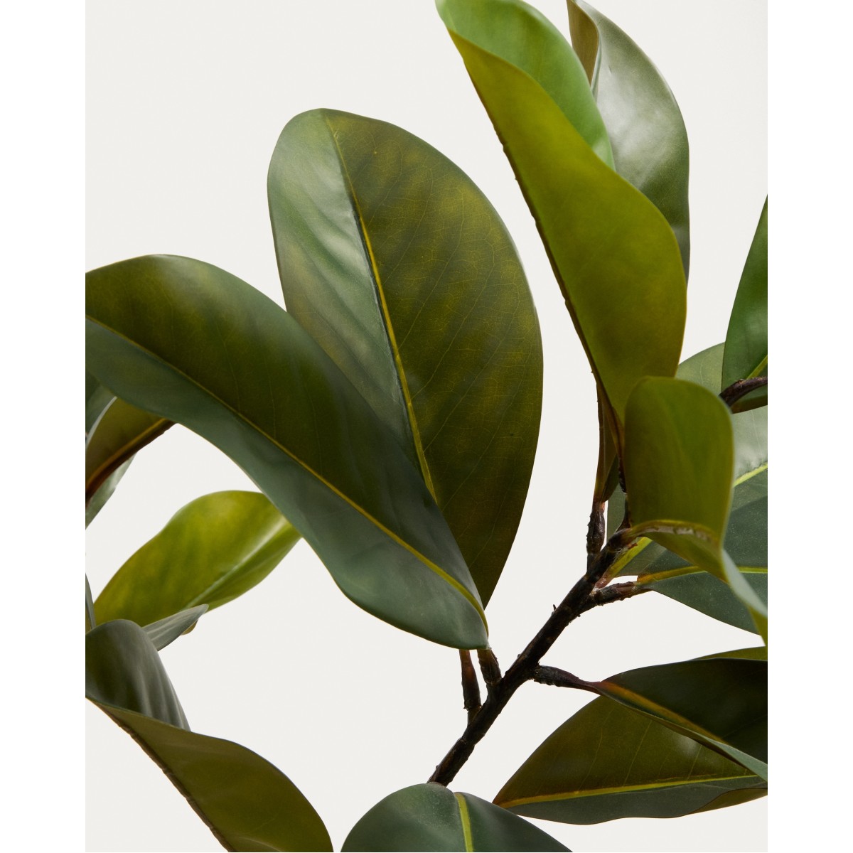 Искусственное растение Magnolia в белом горшке, 160 см