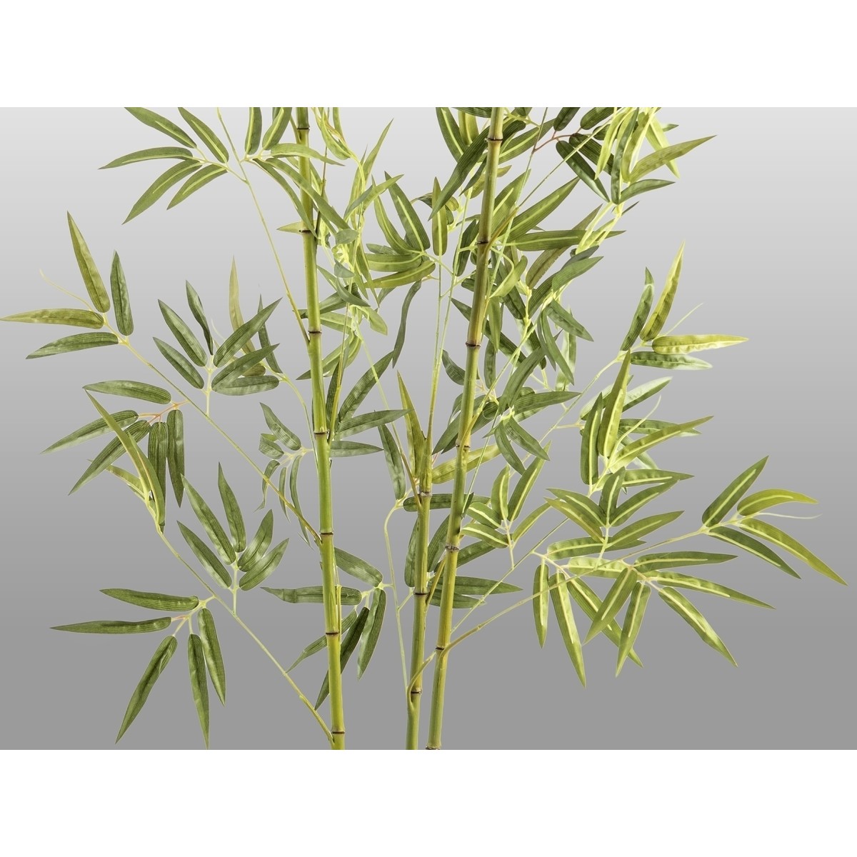 Bambu Искусственное растение H170