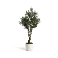 Искусственное дерево Artificial Olive в белом горшке, 210 см