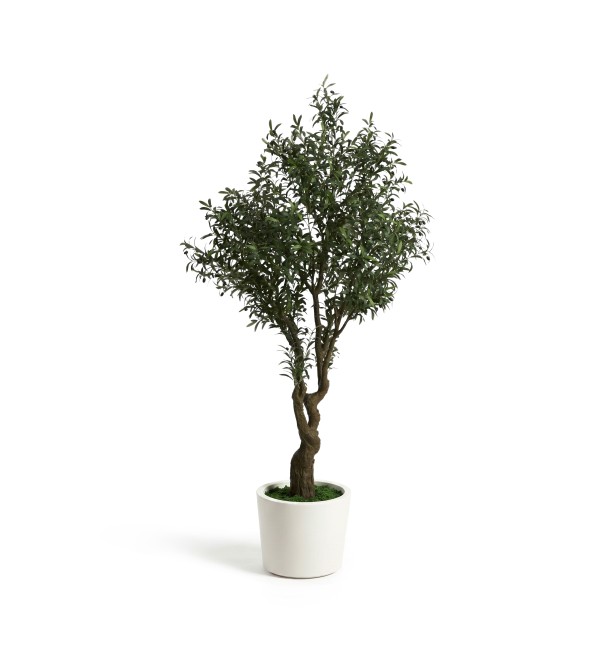 Искусственное дерево Artificial Olive в белом горшке, 210 см