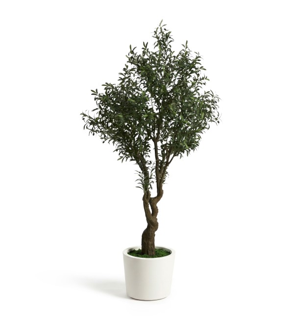 Искусственное дерево Artificial Olive в белом горшке, 210 см