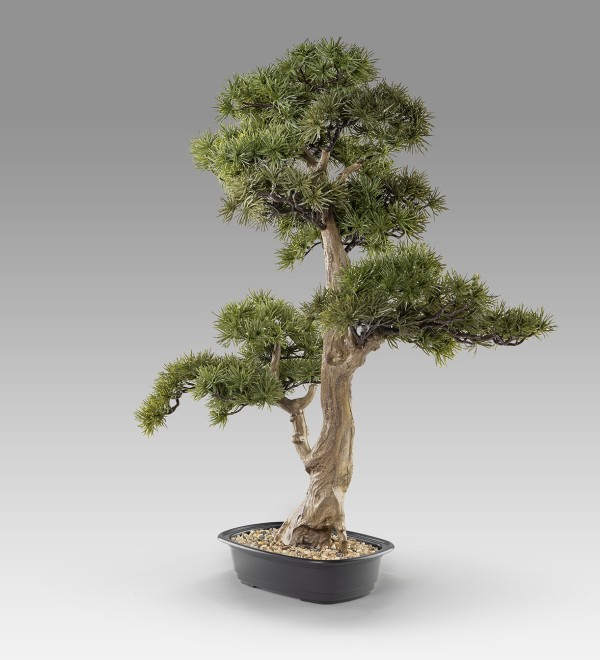 Chokkan - bonsai 83cm Искусственное растение из 2 предметов