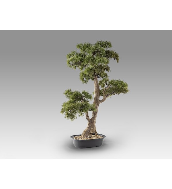 Chokkan - bonsai 83cm Искусственное растение