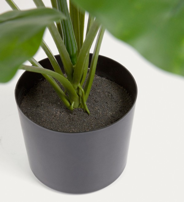 Искусственное растение Alocasia пахучая с черным горшком 57 см