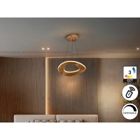 Mirena Люстра 1L розовое золото D50
