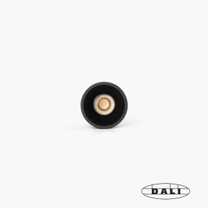 Встраиваемый светильник TULIPA DOWN SIM IP65 10W черный 55° 2700K CRI90 DALI