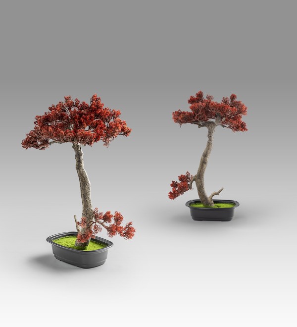Bujin-hi bonsai 45cm набор из 2 предметов