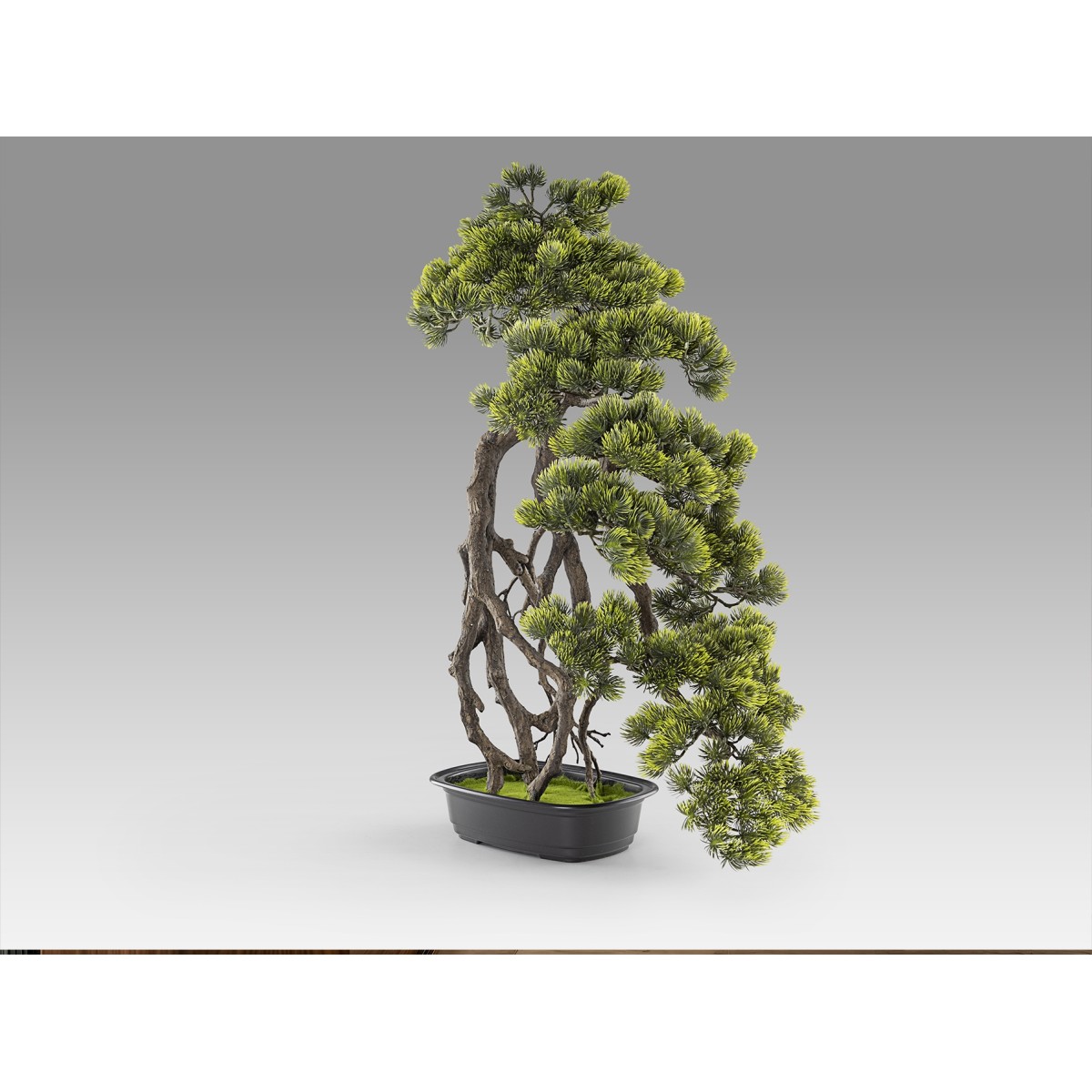 Kengai bonsai 74см Искусственное растение из 2 предметов