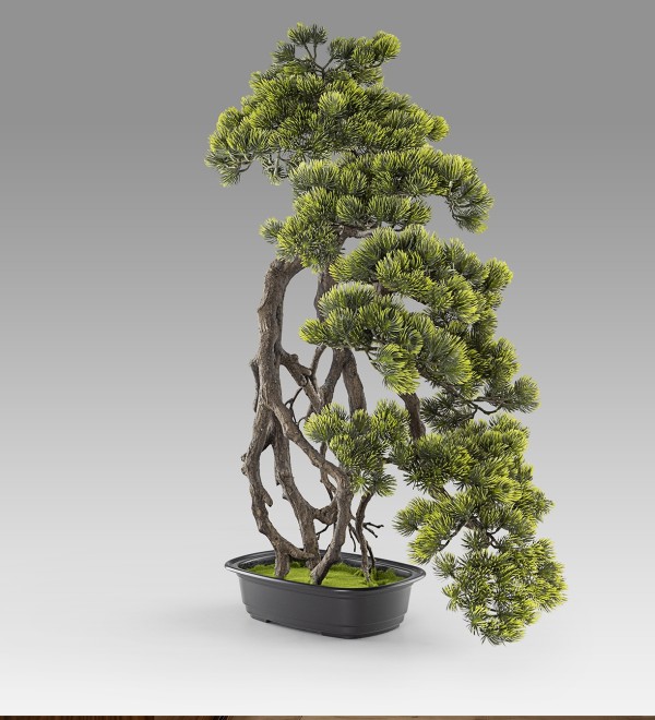 Kengai bonsai 74см Искусственное растение из 2 предметов