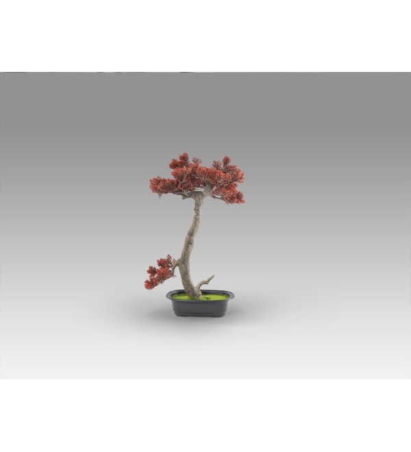 Bujin-hi bonsai 45cm набор из 2 предметов