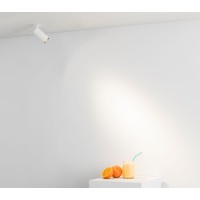 Встраиваемый светильник Fost PULLDOWN 15W белый 35° 2700K CRI97 DALI