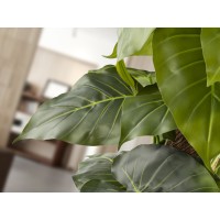 Taro Искусственное растение H150