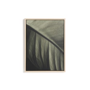 Фотография листа Foliae размер 32,5 x 42,5 см