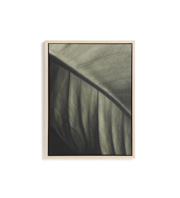 Фотография листа Foliae размер 32,5 x 42,5 см