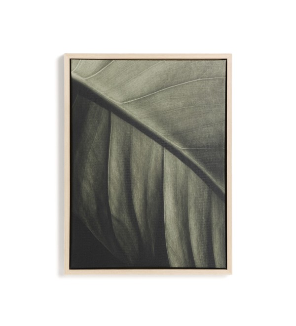 Фотография листа Foliae размер 32,5 x 42,5 см