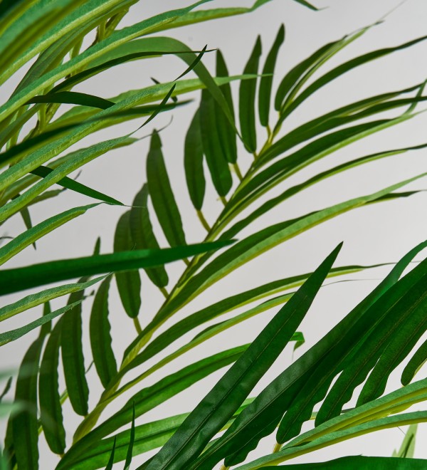 Пальмовое растение искусственное PALMERA