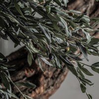 Искусственное растение OLIVO