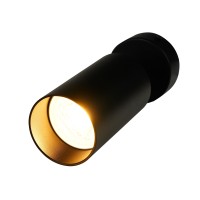 BR08076 Потолочный светильник-спот ARAS