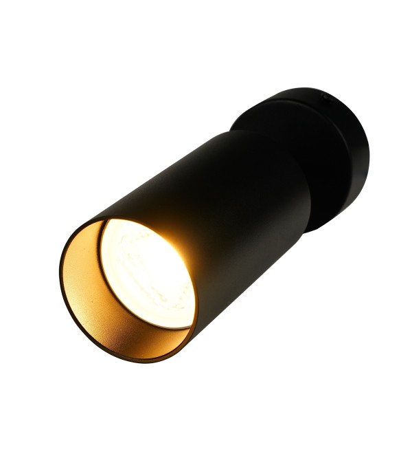 BR08076 Потолочный светильник-спот ARAS