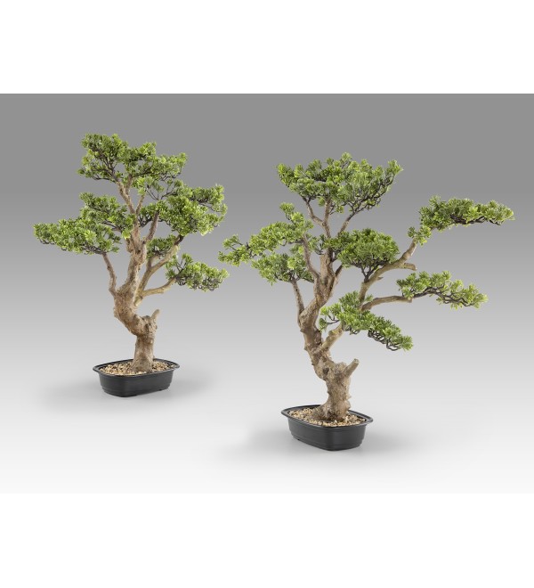 Sokan - bonsai 81cm Искусственное растение из 2 предметов