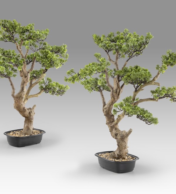 Sokan - bonsai 81cm Искусственное растение из 2 предметов