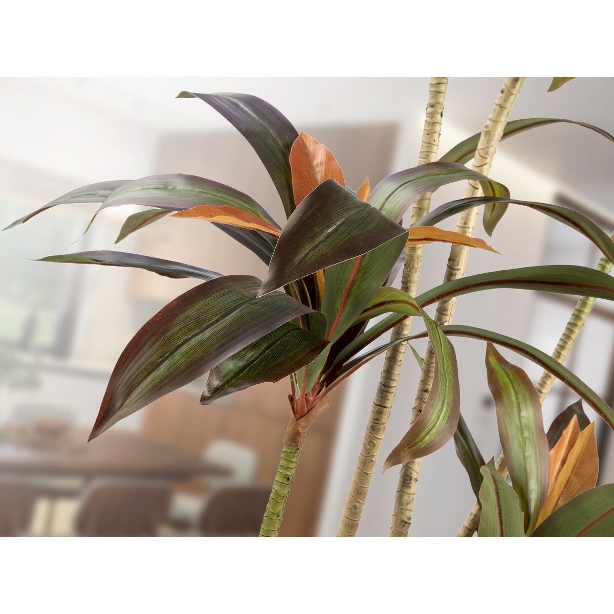 Dracena roja Искусственное растение H220