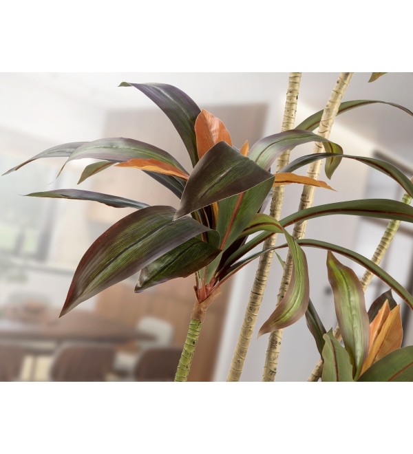 Dracena roja Искусственное растение H220