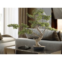 Sokan - bonsai 81cm Искусственное растение