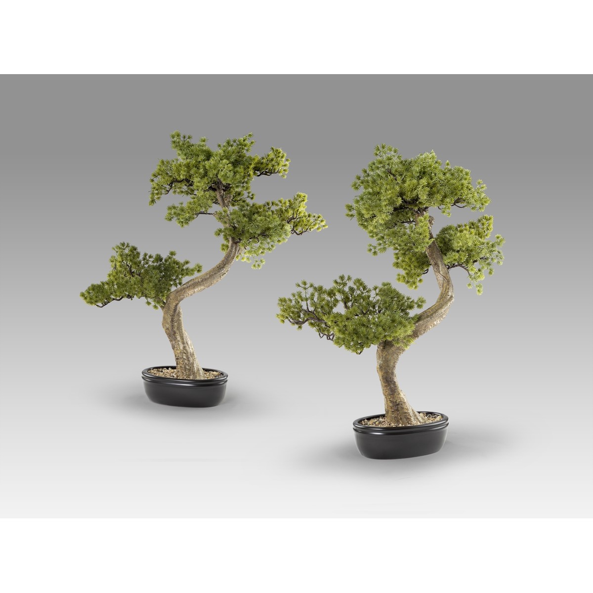 Bankan II bonsai 49cm набор из двух предметов