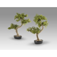 Bankan II bonsai 49cm набор из двух предметов