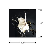 Печатная фотография Splash 100x100