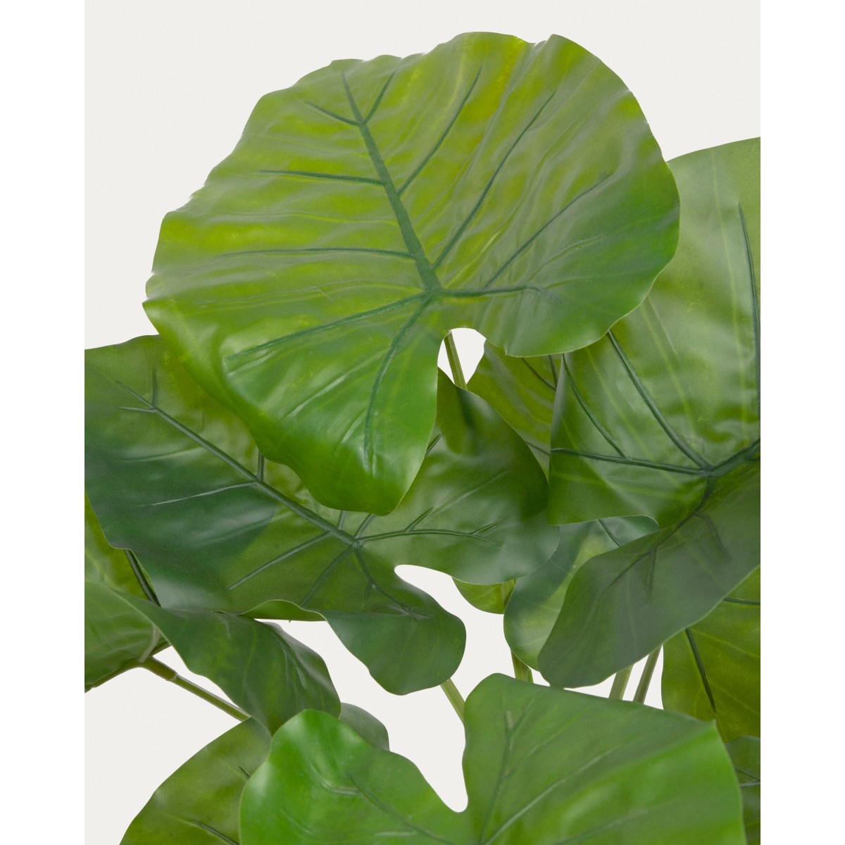 Искусственное растение Alocasia пахучая с черным горшком 57 см