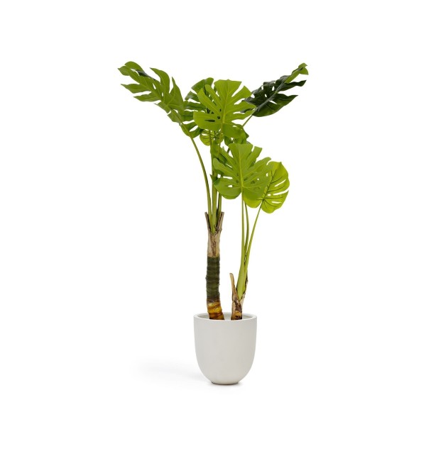 Flower Искусственная монстера в горшке из цемента 130 см