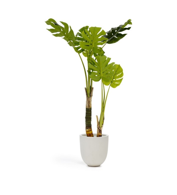 Flower Искусственная монстера в горшке из цемента 130 см