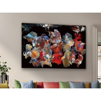 Фотография на стекле Peces Siam 150x100