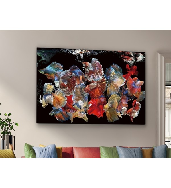 Фотография на стекле Peces Siam 150x100